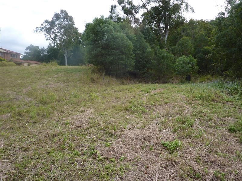 20 Country View Drive, Nerang QLD 4211