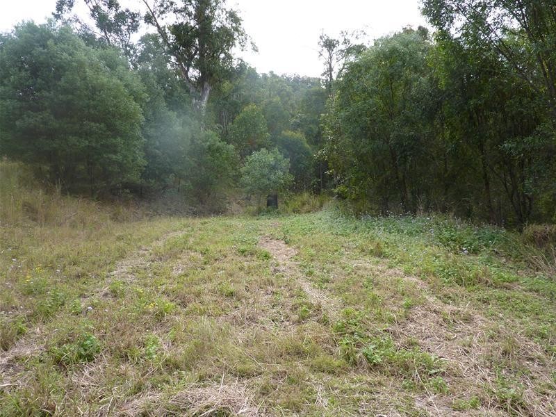 20 Country View Drive, Nerang QLD 4211