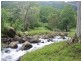 Numinbah Valley QLD 4211