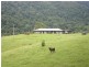 Numinbah Valley QLD 4211