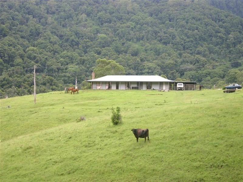 Numinbah Valley QLD 4211