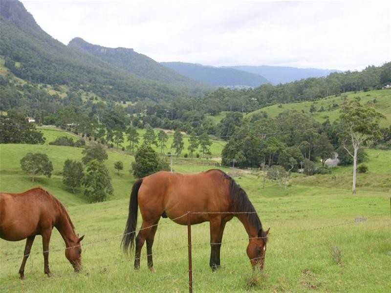 Numinbah Valley QLD 4211