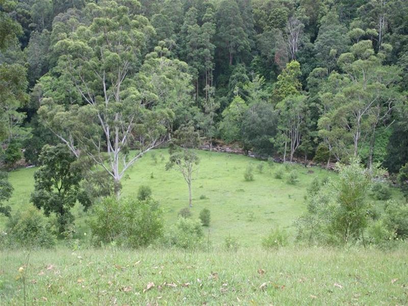 Numinbah Valley QLD 4211