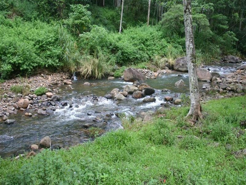 Numinbah Valley QLD 4211