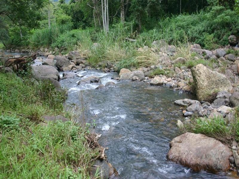 Numinbah Valley QLD 4211