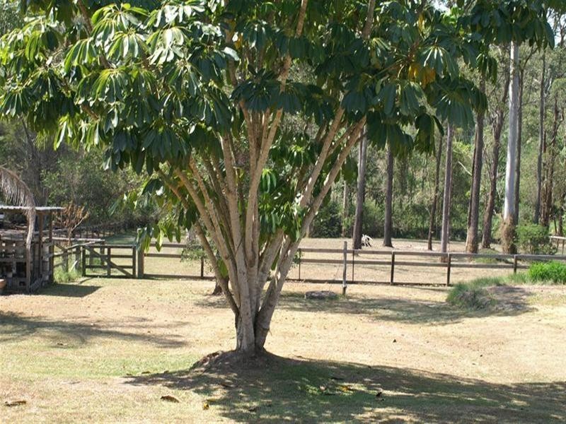 22 Lutana Street, Nerang QLD 4211