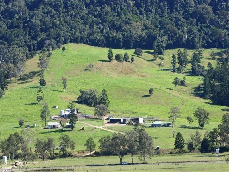 Numinbah Valley QLD 4211
