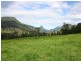 Numinbah Valley QLD 4211