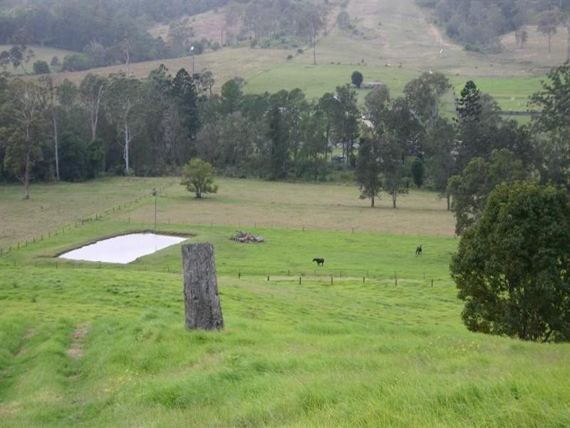 Numinbah Valley QLD 4211