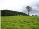 Numinbah Valley QLD 4211