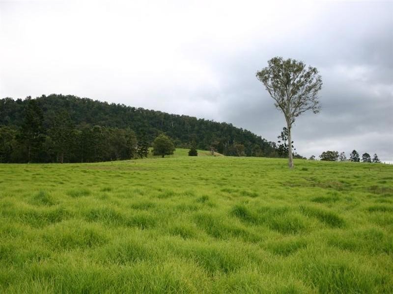 Numinbah Valley QLD 4211