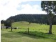 Numinbah Valley QLD 4211