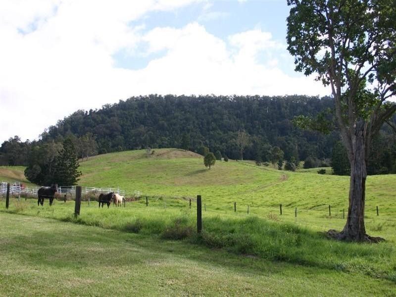 Numinbah Valley QLD 4211
