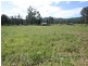 Numinbah Valley QLD 4211
