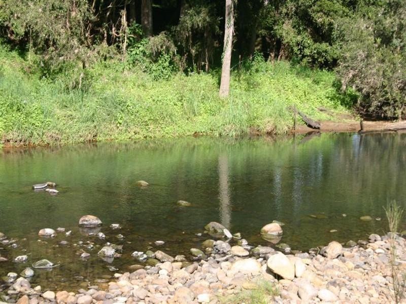 Numinbah Valley QLD 4211