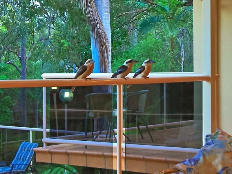 16 Rouse Street, Worongary QLD 4213