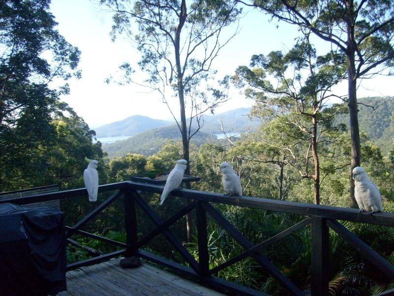 Advancetown QLD 4211