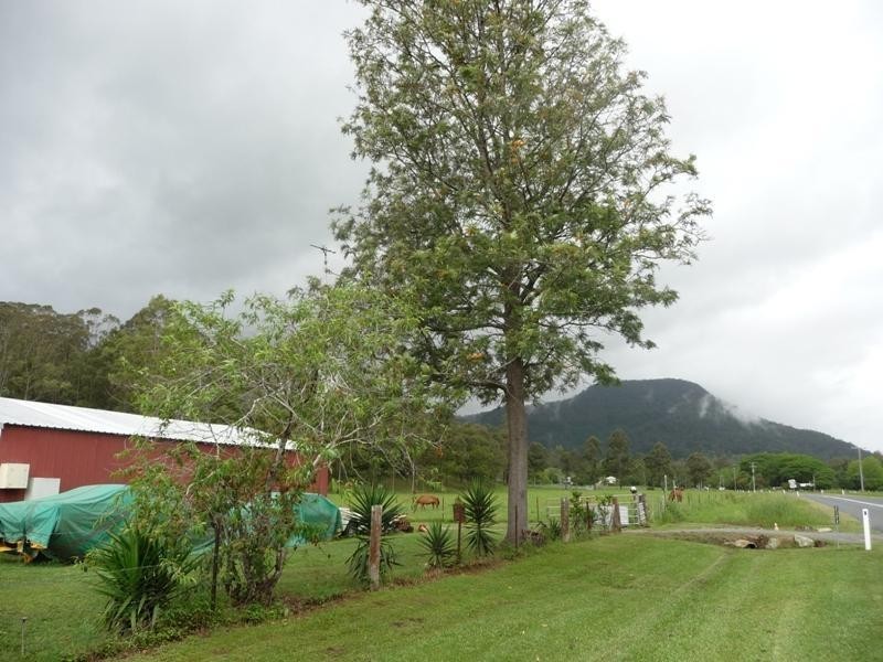Numinbah Valley QLD 4211