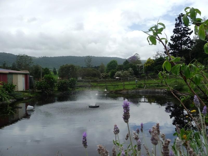 Numinbah Valley QLD 4211