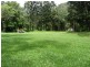 Numinbah Valley QLD 4211