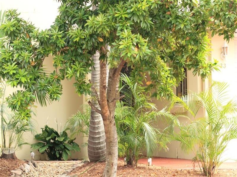 33/102 Alexander Drive, Highland Park QLD 4211