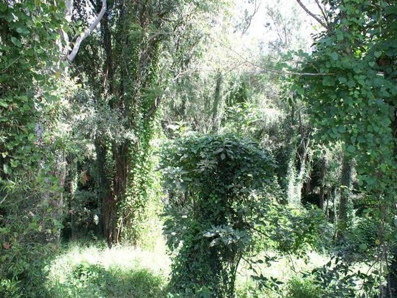 26 Rossmore Street, Nerang QLD 4211