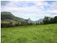 2296 Nerang-Murwillumbah Road, Numinbah Valley QLD 4211