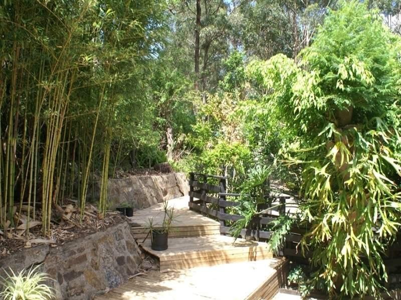 215 Beechmont Road, Advancetown QLD 4211