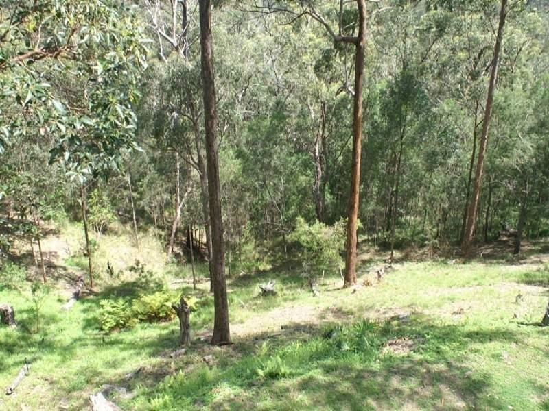 215 Beechmont Road, Advancetown QLD 4211