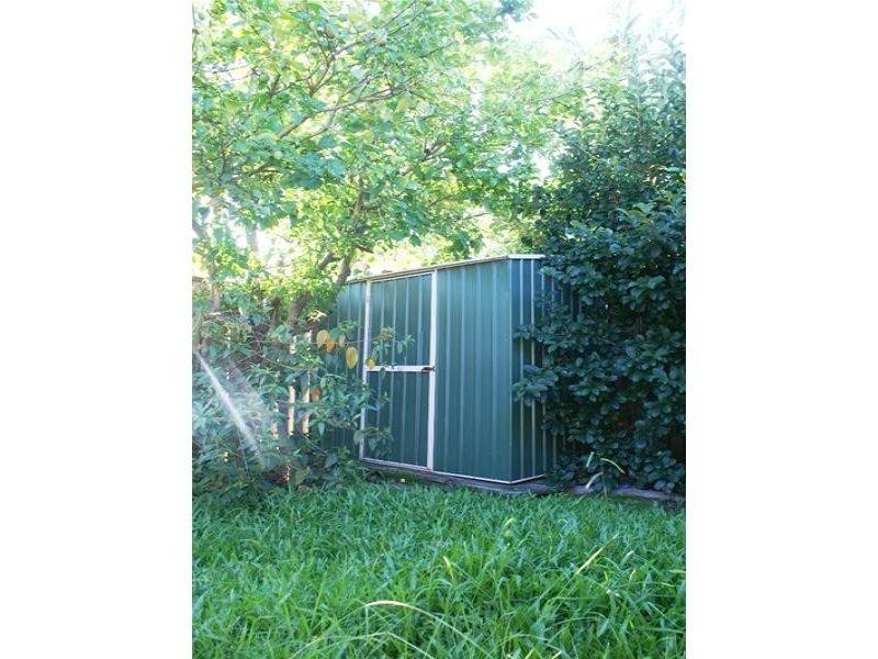 52 Numbat Court East, Coombabah QLD 4216