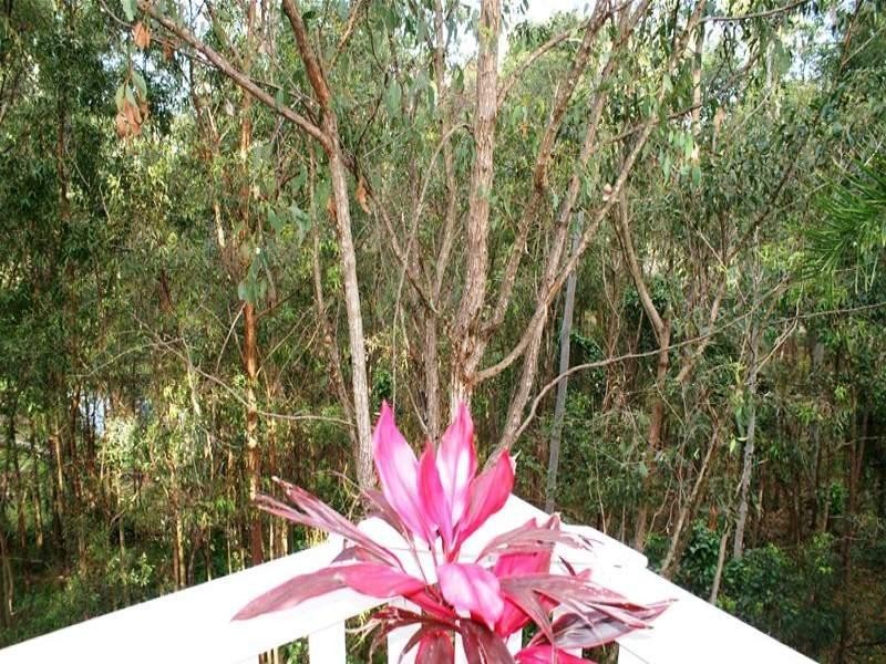 13 Albert Evans Drive, Worongary QLD 4213