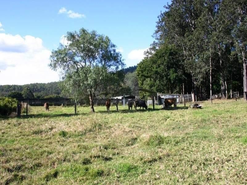 18 Riverglen Court, Mount Nathan QLD 4211