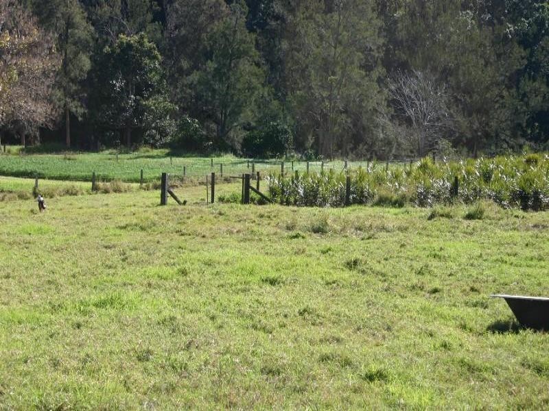 18 Riverglen Court, Mount Nathan QLD 4211