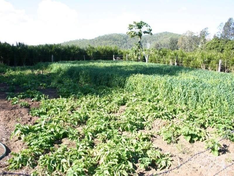 18 Riverglen Court, Mount Nathan QLD 4211