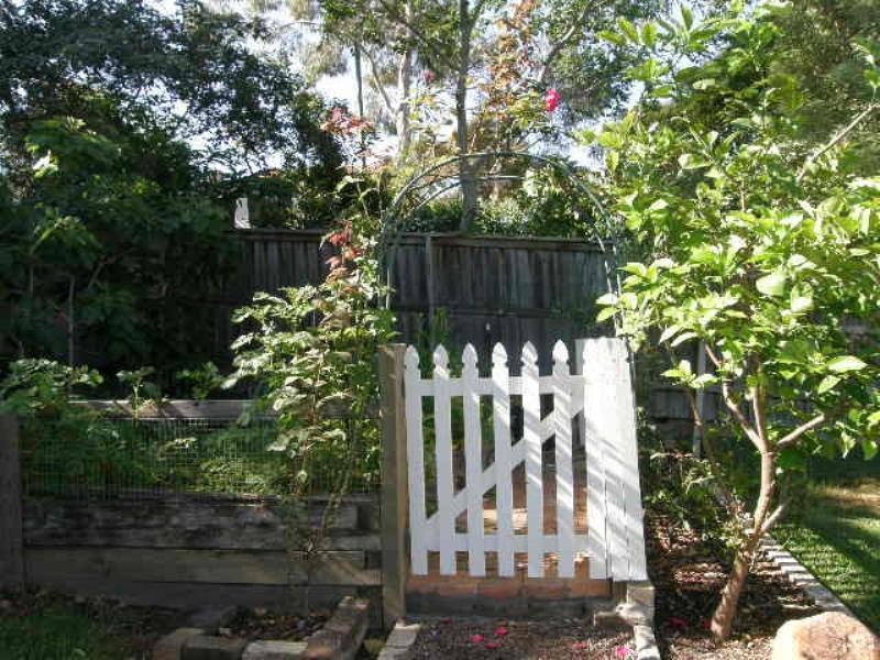 27 Northcote Street, Naremburn NSW 2065