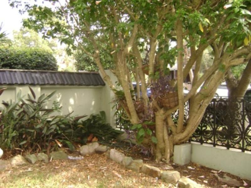 55 Burlington Street, Crows Nest NSW 2065