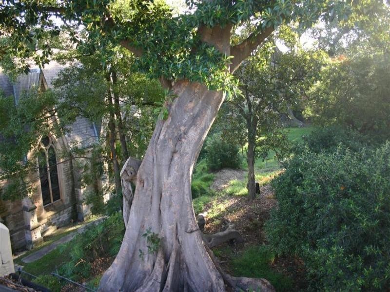 16/22 Mackenzie Street, Mcmahons Point NSW 2060