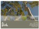 578-580 Miller Street, Cammeray NSW 2062