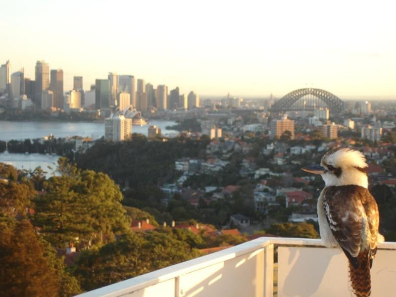 31/67 Bradleys Head Road, Mosman NSW 2088