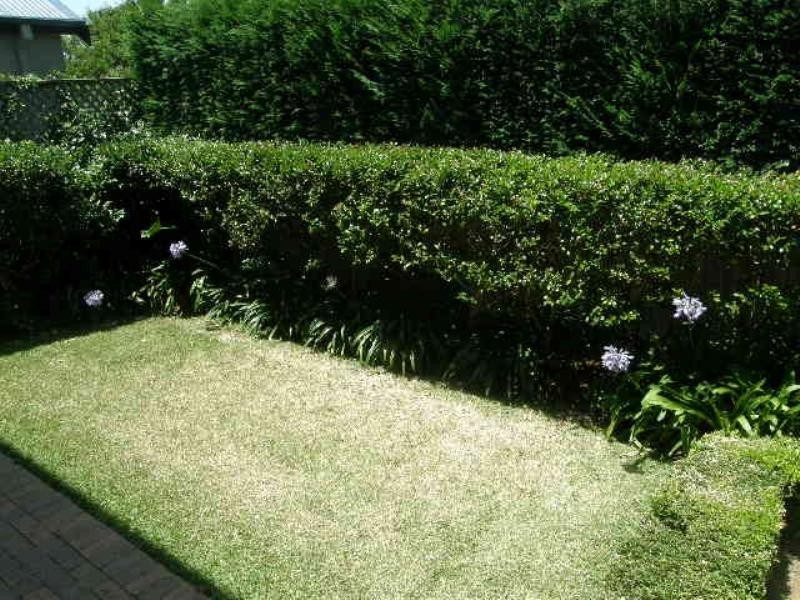 68 Glover Street, Mosman NSW 2088