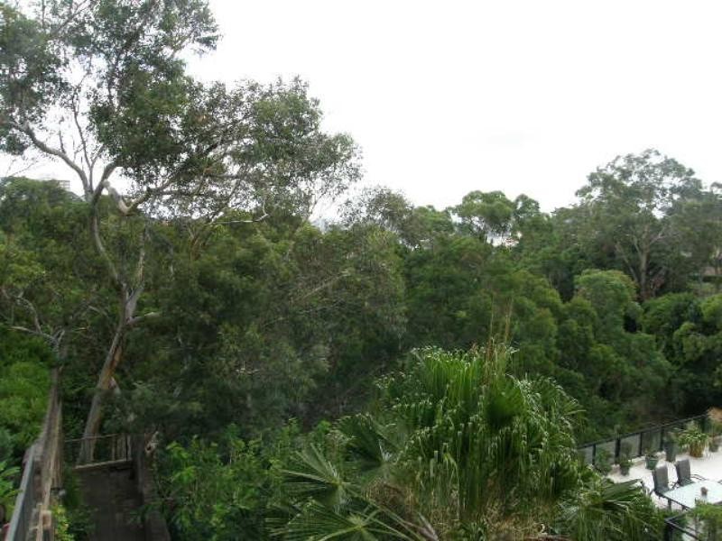 8/19 Belmont Avenue, Wollstonecraft NSW 2065