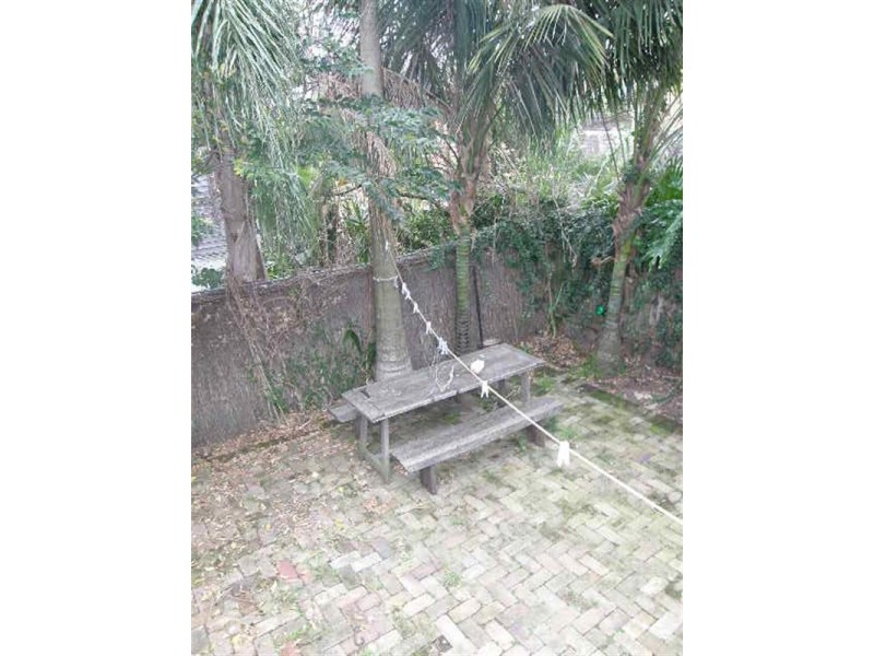 56 Raymond Road, Neutral Bay NSW 2089