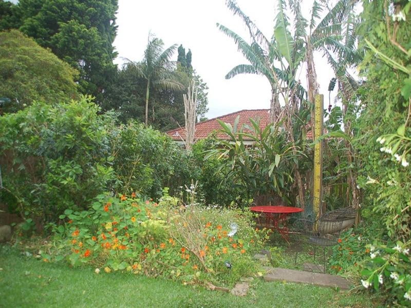 48A Carter Street, Cammeray NSW 2062