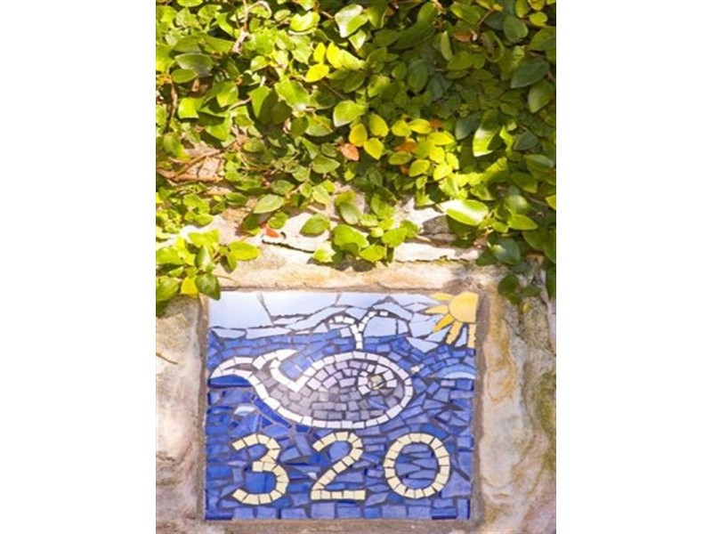 320 Whale Beach Road, Palm Beach NSW 2108