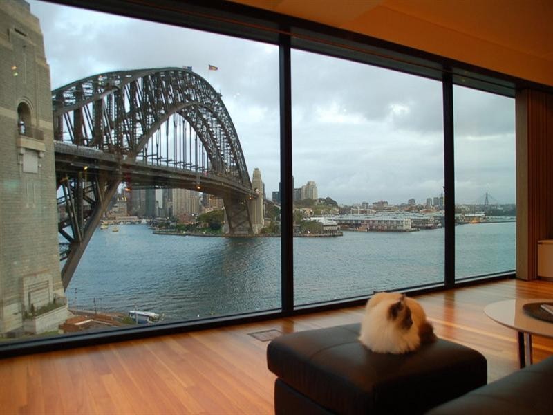 501/20 Alfred Street, Milsons Point NSW 2061