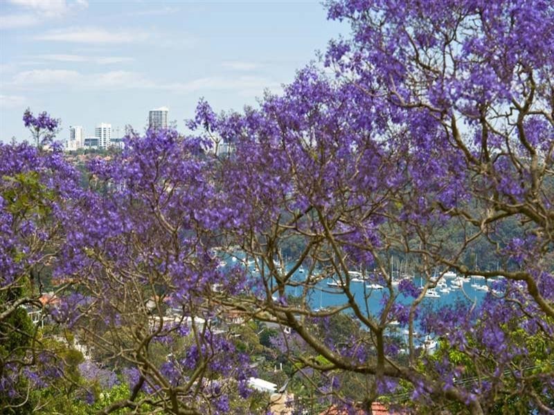 6/180 Spit Road, Mosman NSW 2088