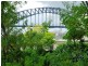 14/21 Waiwera Stret, Mcmahons Point NSW 2060