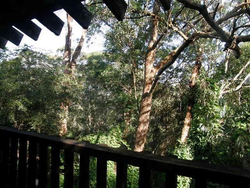 3 Karana Place, Chatswood NSW 2067