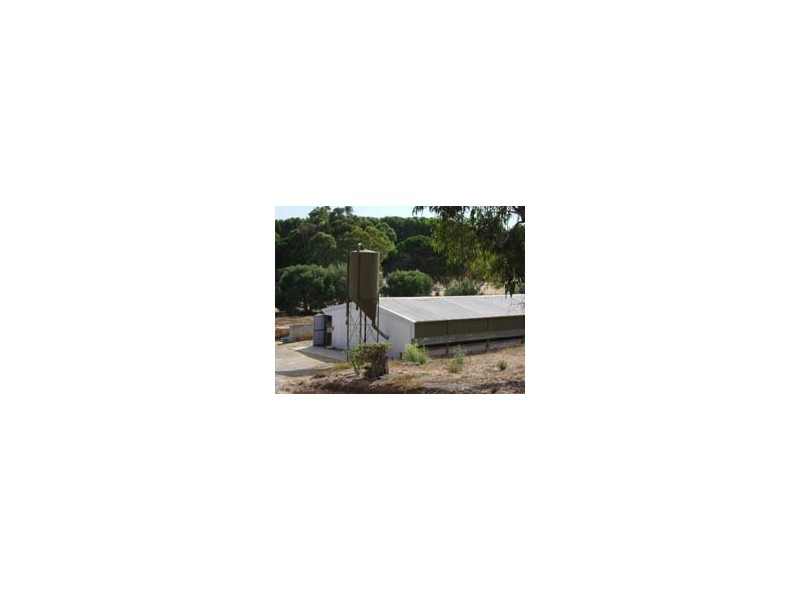 Lot 262 Branson Road, Tatachilla SA 5171