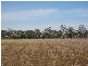 Lot 22 Naracoorte Rd becks, Bordertown SA 5268